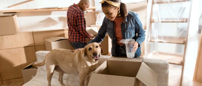 5 Ways to Make Your Pet Dog More Comfortable When Moving