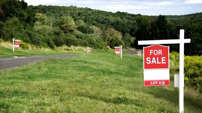 How to Buy Land: Tips to Pick the Perfect Plot