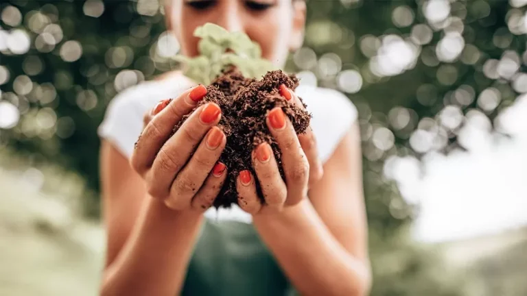 Simple Secrets for a Lush Garden: Learn Some Easy, Breezy Soil Science