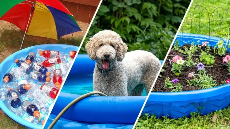 7 Genius Hacks for a Humble Plastic Kiddie Pool You’ll Swear By This Summer