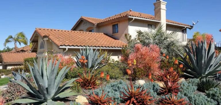 LOOKING TO XERISCAPE YOUR YARD? 3 STEPS TO EXECUTE A DROUGHT-FRIENDLY DESIGN