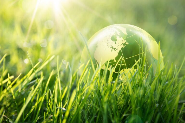 5 Eco-Friendly Ideas for a More Sustainable Home