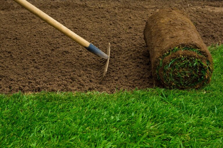 Here’s One Thing Most Home Buyers Forget to Budget For: Landscaping